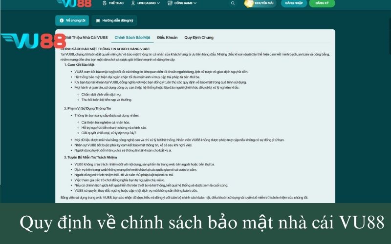 Quy định về chính sách bảo mật nhà cái VU88