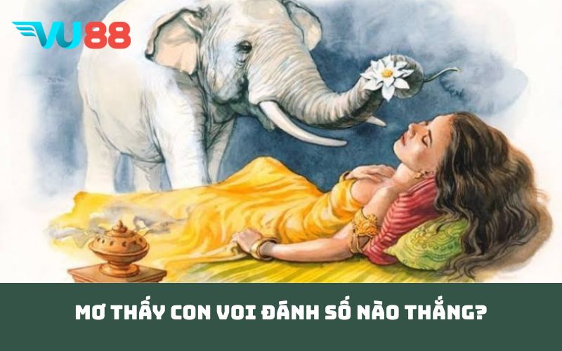 Mơ thấy con voi đánh số nào thắng?