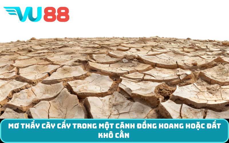 Mơ thấy cày cấy trong một cánh đồng hoang hoặc đất khô cằn