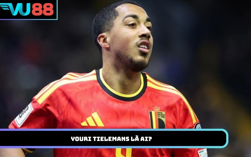 Youri Tielemans là ai?