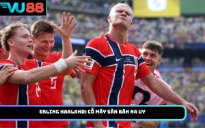 Erling Haaland