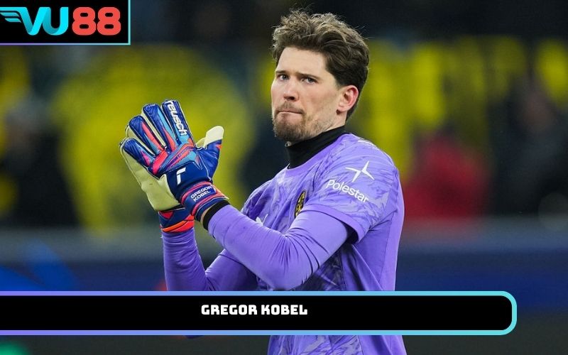 Gregor Kobel